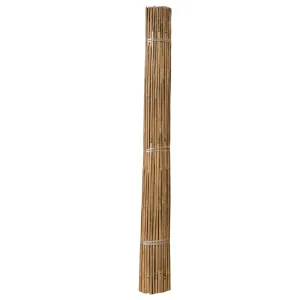 Cierre de Bamboo Plano 2 x 5 m