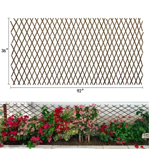 Valla extensible de jardín con soporte para plantas trepadoras