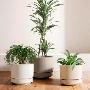 Maceta de ceramica 30 cm con platillo y drenaje, interior y exterior