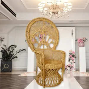 Silla pavo real de ratán para exteriores
